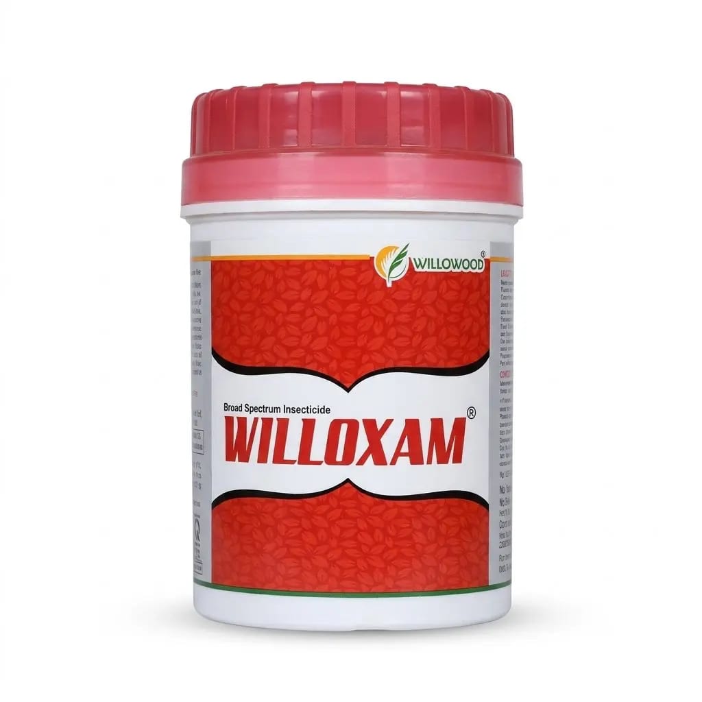 Willowood’s Willoxam
