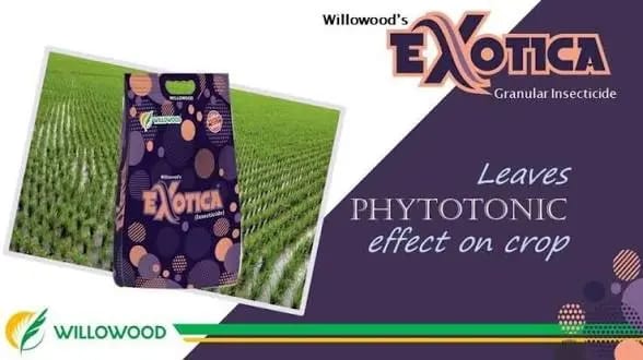 Willowood’s Exotica thumbnail 3