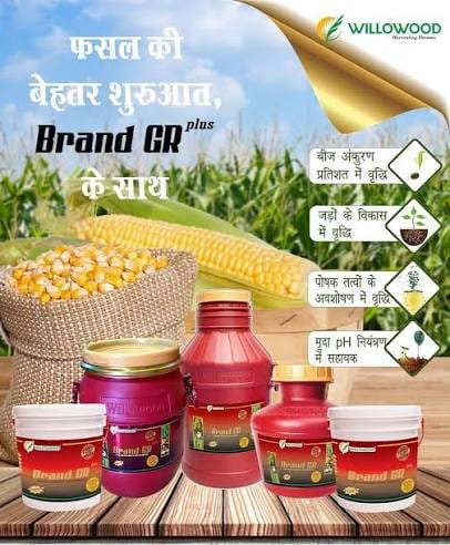Brand GR