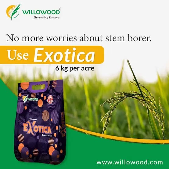 Willowood’s Exotica thumbnail 2