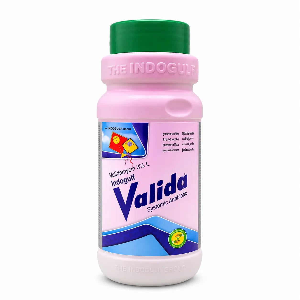 Indogulf’s Valida