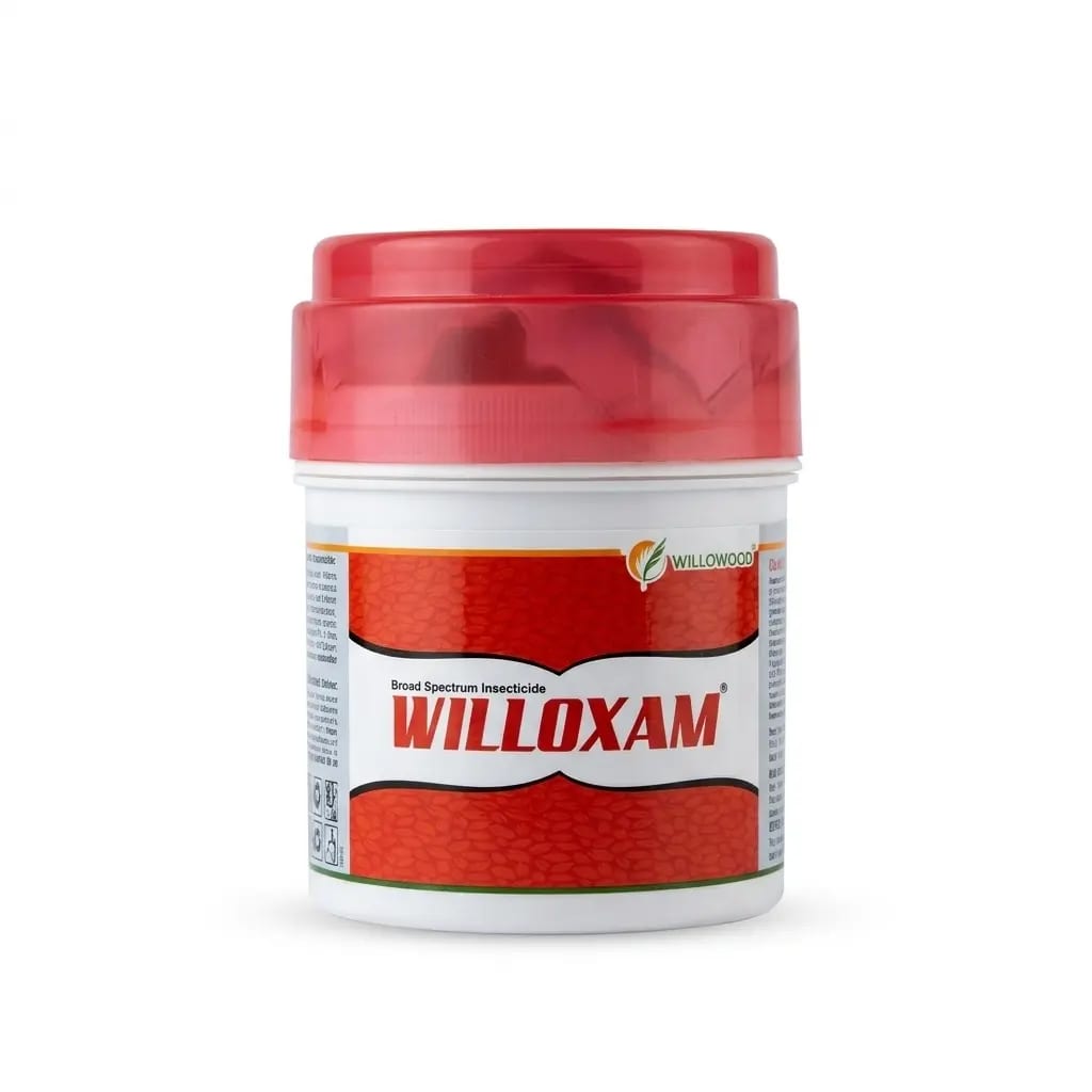 Willowood’s Willoxam thumbnail 2